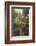 Pink Lady's Slipper in a Forest in Epping, New Hampshire-Jerry and Marcy Monkman-Framed Photographic Print