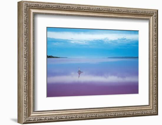 Pink lagoon at Port Gregory, Western Australia-David Noton-Framed Photographic Print