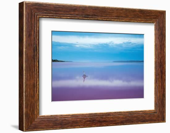 Pink lagoon at Port Gregory, Western Australia-David Noton-Framed Photographic Print