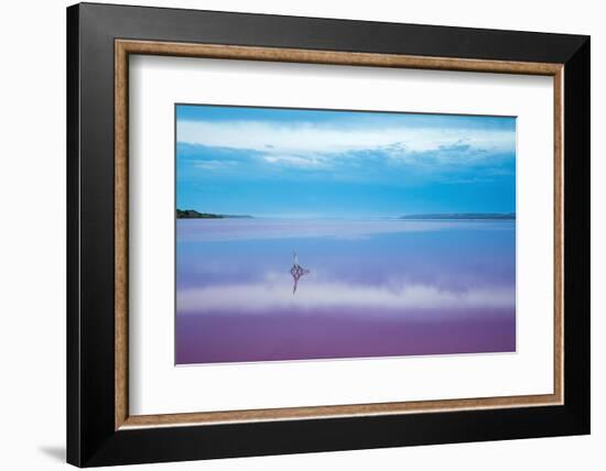 Pink lagoon at Port Gregory, Western Australia-David Noton-Framed Photographic Print