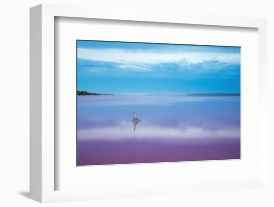 Pink lagoon at Port Gregory, Western Australia-David Noton-Framed Photographic Print