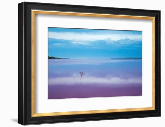 Pink lagoon at Port Gregory, Western Australia-David Noton-Framed Photographic Print