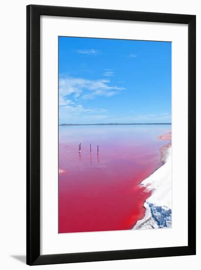 Pink Lake, Western Australia. this Lake Turns Pink in Summer Cause of an Algae with Red Pigments. T-Konrad Mostert-Framed Photographic Print