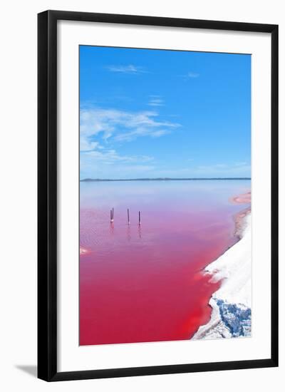 Pink Lake, Western Australia. this Lake Turns Pink in Summer Cause of an Algae with Red Pigments. T-Konrad Mostert-Framed Photographic Print