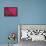 Pink Leaf II-Erin Berzel-Framed Premier Image Canvas displayed on a wall