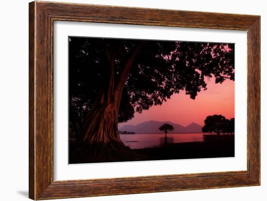 Pink Light and Trees at Sunset at Amaya Lake-Alex Saberi-Framed Photographic Print