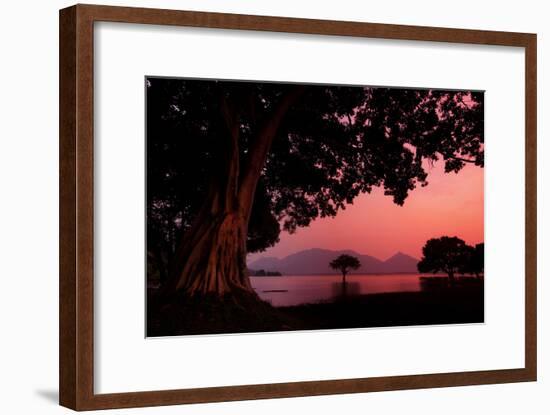 Pink Light and Trees at Sunset at Amaya Lake-Alex Saberi-Framed Photographic Print