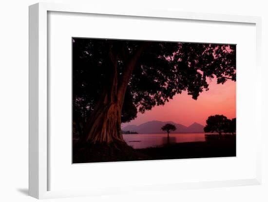 Pink Light and Trees at Sunset at Amaya Lake-Alex Saberi-Framed Photographic Print