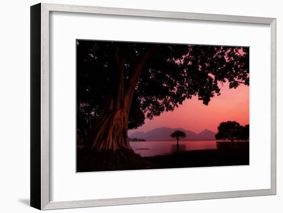 Pink Light and Trees at Sunset at Amaya Lake-Alex Saberi-Framed Photographic Print