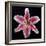 Pink Lily-Jim Christensen-Framed Photographic Print