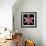 Pink Lily-Jim Christensen-Framed Photographic Print displayed on a wall