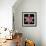 Pink Lily-Jim Christensen-Framed Photographic Print displayed on a wall