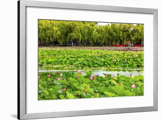 Pink Lotus Pads Garden Summer Palace, Beijing, China-William Perry-Framed Photographic Print