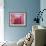 Pink Lotus-Sally Bennett Baxley-Framed Giclee Print displayed on a wall