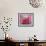 Pink Lotus-Sally Bennett Baxley-Framed Giclee Print displayed on a wall