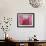 Pink Lotus-Sally Bennett Baxley-Framed Giclee Print displayed on a wall