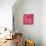 Pink Love-Nicholas Biscardi-Art Print displayed on a wall