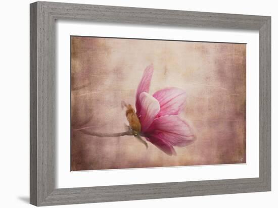 Pink Magnolia 1-Jai Johnson-Framed Giclee Print