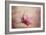 Pink Magnolia 1-Jai Johnson-Framed Giclee Print