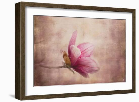 Pink Magnolia 1-Jai Johnson-Framed Giclee Print