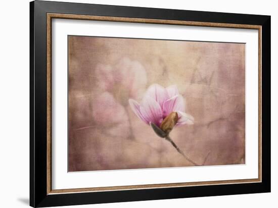 Pink Magnolia 2-Jai Johnson-Framed Giclee Print