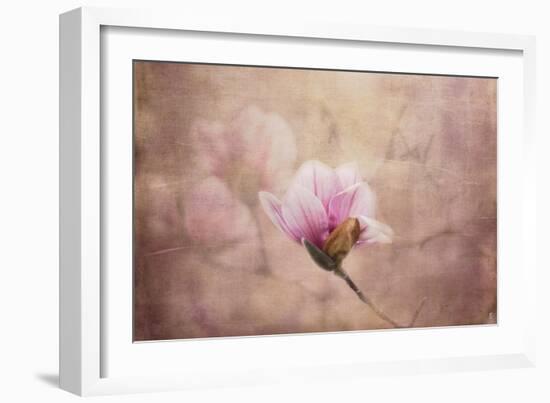 Pink Magnolia 2-Jai Johnson-Framed Giclee Print