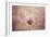 Pink Magnolia 2-Jai Johnson-Framed Giclee Print