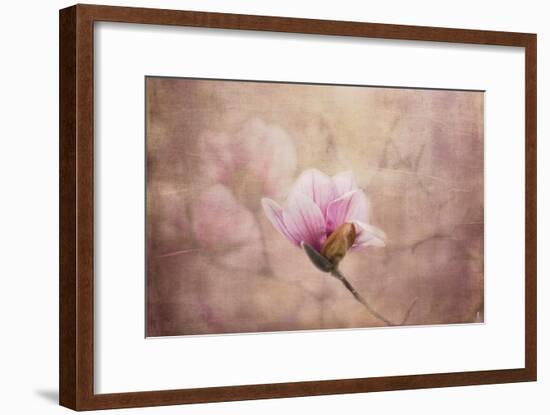 Pink Magnolia 2-Jai Johnson-Framed Giclee Print