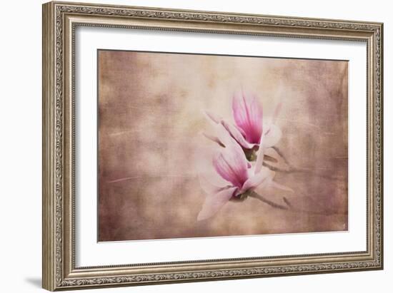 Pink Magnolia 3-Jai Johnson-Framed Giclee Print