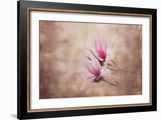 Pink Magnolia 3-Jai Johnson-Framed Giclee Print