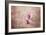 Pink Magnolia 3-Jai Johnson-Framed Giclee Print