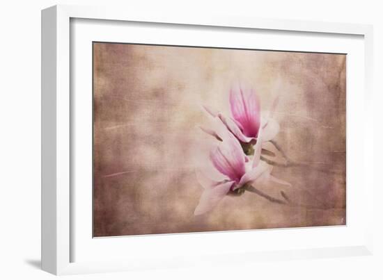 Pink Magnolia 3-Jai Johnson-Framed Giclee Print