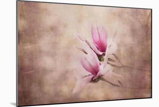 Pink Magnolia 3-Jai Johnson-Mounted Giclee Print