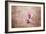 Pink Magnolia 3-Jai Johnson-Framed Giclee Print