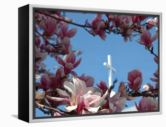 Pink Magnolia Tree and Church Steeple, Reading, Massachusetts, USA-Lisa S. Engelbrecht-Framed Premier Image Canvas