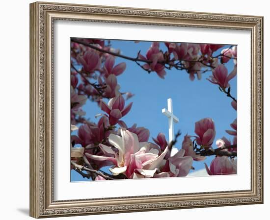 Pink Magnolia Tree and Church Steeple, Reading, Massachusetts, USA-Lisa S. Engelbrecht-Framed Photographic Print