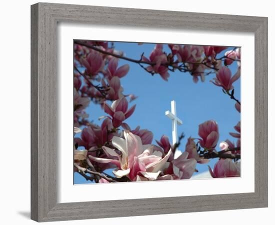 Pink Magnolia Tree and Church Steeple, Reading, Massachusetts, USA-Lisa S. Engelbrecht-Framed Photographic Print