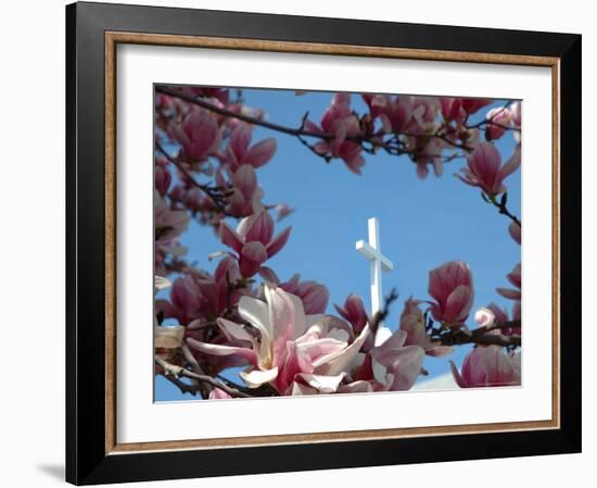 Pink Magnolia Tree and Church Steeple, Reading, Massachusetts, USA-Lisa S. Engelbrecht-Framed Photographic Print