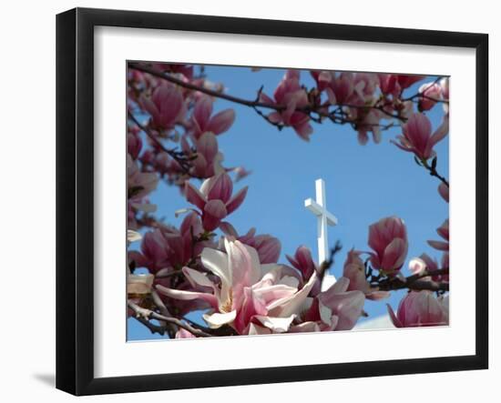 Pink Magnolia Tree and Church Steeple, Reading, Massachusetts, USA-Lisa S. Engelbrecht-Framed Photographic Print