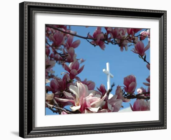 Pink Magnolia Tree and Church Steeple, Reading, Massachusetts, USA-Lisa S. Engelbrecht-Framed Photographic Print