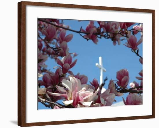 Pink Magnolia Tree and Church Steeple, Reading, Massachusetts, USA-Lisa S. Engelbrecht-Framed Photographic Print