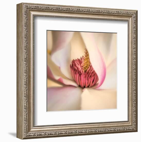 Pink Magnolia-Diane Poinski-Framed Giclee Print