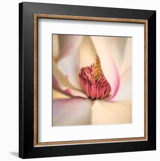 Pink Magnolia-Diane Poinski-Framed Giclee Print