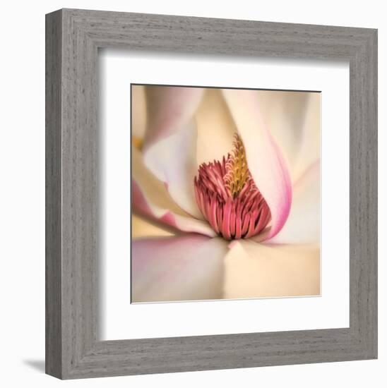 Pink Magnolia-Diane Poinski-Framed Giclee Print