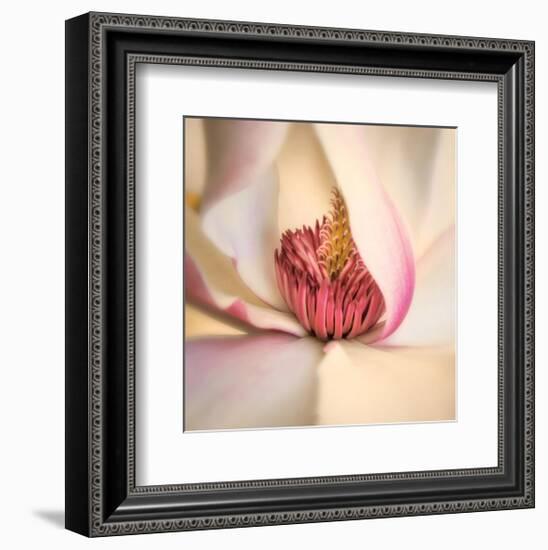 Pink Magnolia-Diane Poinski-Framed Giclee Print