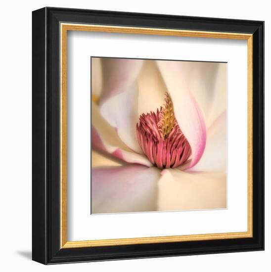 Pink Magnolia-Diane Poinski-Framed Giclee Print