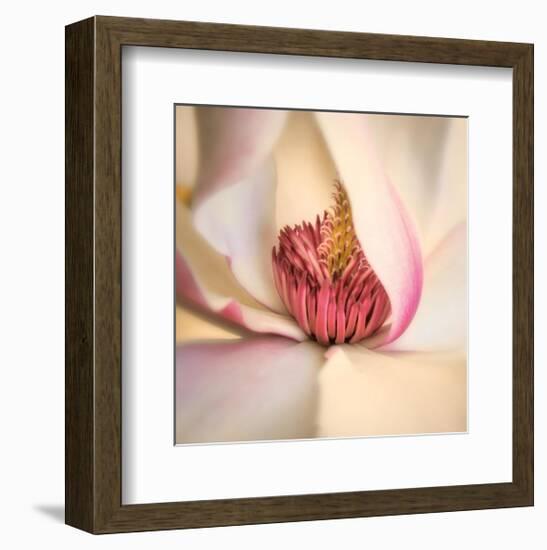 Pink Magnolia-Diane Poinski-Framed Giclee Print