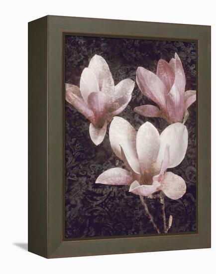 Pink Magnolias II-John Seba-Framed Stretched Canvas