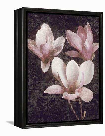 Pink Magnolias II-John Seba-Framed Stretched Canvas