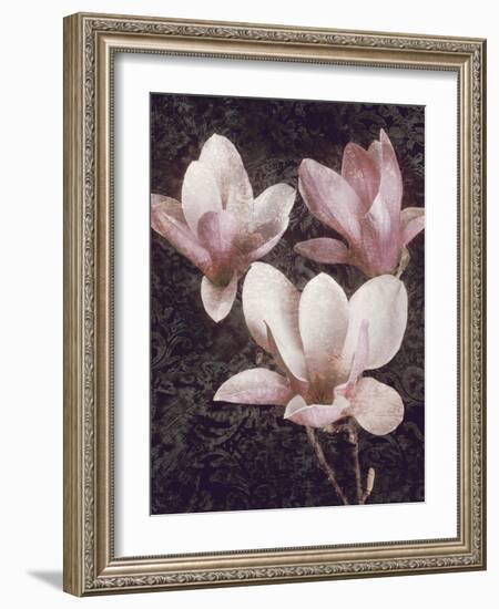 Pink Magnolias II-John Seba-Framed Art Print